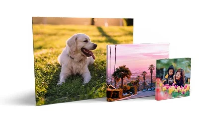 Gallery wall canvas display